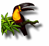 PNG-8 avec bloc tRNS + 1 couleur transparente créé par pngnq