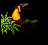 PNG-8 optimisé sans bloc tRNS